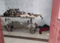 Idosa de 69 anos é morta a golpe de faca durante assalto à residência