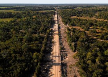 Produtores rurais destacam importância de infraestrutura e logística para a comunidade pantaneira
