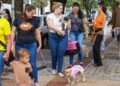 Causa animal: PMCG atende 8 mil pets nos primeiros seis meses do ano