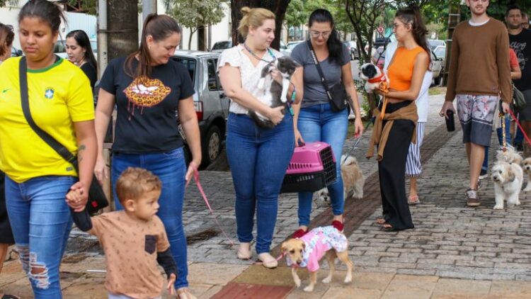Causa animal: PMCG atende 8 mil pets nos primeiros seis meses do ano