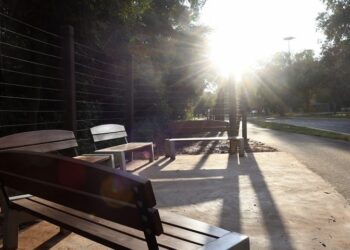 Final de semana será com muito sol e além de eventos na Capital, tem o projeto Amigos do Parque dos Poderes
