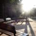 Final de semana será com muito sol e além de eventos na Capital, tem o projeto Amigos do Parque dos Poderes