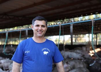 VÍDEO: Decidido a investir na suinocultura, produtor faz acontecer com ajuda do Senar/MS