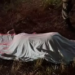 Motociclista atravessa trevo da MS-141 e morre ao sofrer queda
