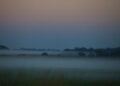 Frio continua em MS nesta sexta-feira, com mínima de 7°C na região sul e possibilidade de geada
