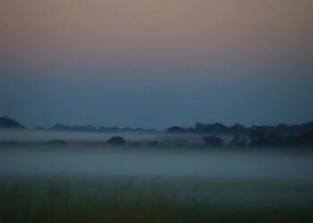 Frio continua em MS nesta sexta-feira, com mínima de 7°C na região sul e possibilidade de geada