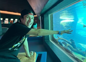 Família viaja 20 horas para realizar sonho de filho autista de conhecer Bioparque Pantanal