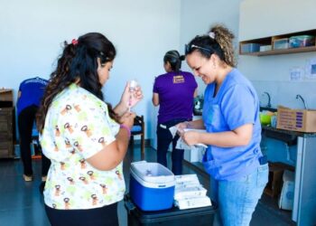 Atendimento itinerante para animais será disponibilizado de forma diária em Campo Grande