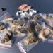 Adolescente de 17 anos é apreendido vendendo cocaína e maconha em plena luz do dia