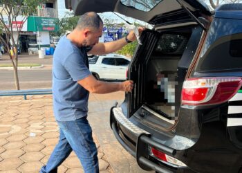 Com medida protetiva, homem é preso por perturbar liberdade de ex-esposa