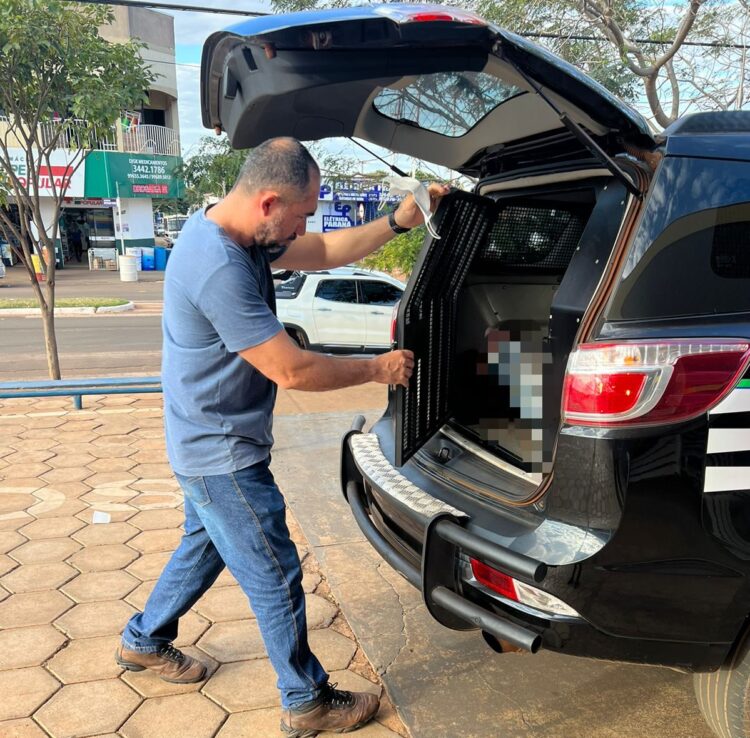 Com medida protetiva, homem é preso por perturbar liberdade de ex-esposa