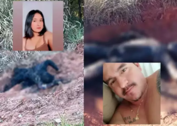 Corpos carbonizados são de homem e moça que estiveram juntos em Três Lagoas