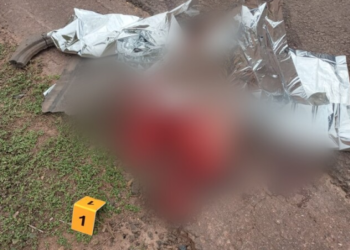 Atropelamento na BR-163 dilacera corpo de mulher em 15 partes , segundo perícia