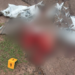 Atropelamento na BR-163 dilacera corpo de mulher em 15 partes , segundo perícia