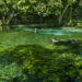 TURISMO: Férias em Bonito, voos ampliados e atrativos para curtir a natureza