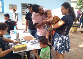 Com atividades e serviços, 5ª edição da ação ‘Campo Grande é o Bicho’ acontece amanhã