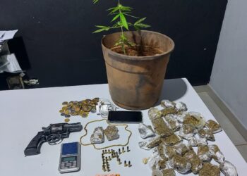 Traficante é preso com maconha, pé da planta, porção de crack e revólver em MS