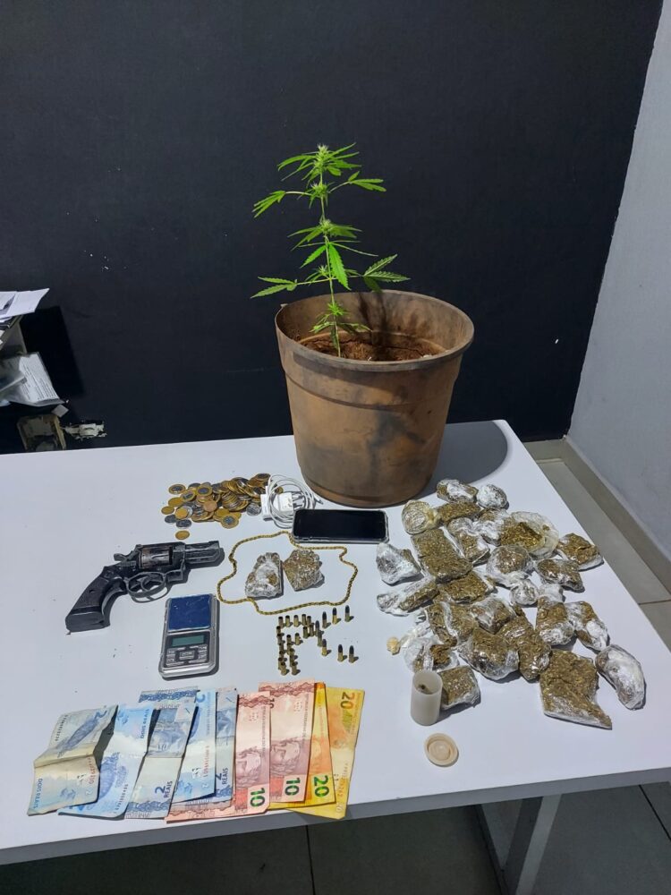 Traficante é preso com maconha, pé da planta, porção de crack e revólver em MS