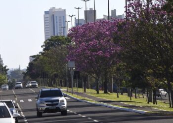 Temperaturas amenas atingem regiões sul, sudoeste e Pantanal durante o domingo