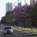Temperaturas amenas atingem regiões sul, sudoeste e Pantanal durante o domingo