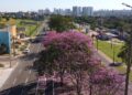 Domingo tem previsão de queda de temperaturas e tempo estável em MS
