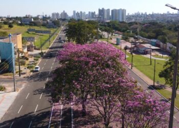 Domingo tem previsão de queda de temperaturas e tempo estável em MS