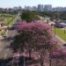 Domingo tem previsão de queda de temperaturas e tempo estável em MS