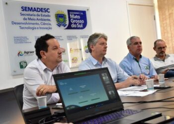 Reunião de Conselho corrige dados de desmatamento e aponta pantanal com 84% de área preservada