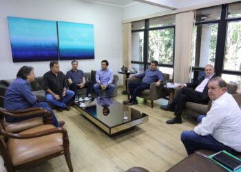 Governador Riedel reúne segmentos para criar a 1ª Lei do Pantanal