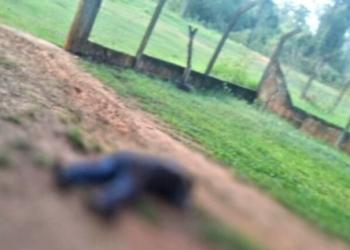 “Paraguaio mecânico” é morto a golpes de faca pelo “amigo” “Pipoca”, em bebedeira