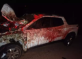 Casal fica ferido, após atropelar cavalo que morre e carro fica “banhado a sangue”