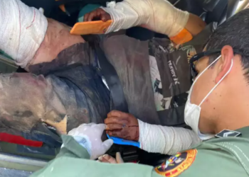 Trabalhador é resgatado de avião de fazenda no Pantanal, após ataque de onça