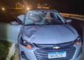 Morre “Neguinho da Onça” atropelado por carro de passeio na MS-395