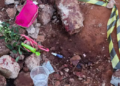Polícia prende homem que matou Akylla Jeysolana a golpes de faca em conveniência