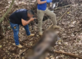 Em Campo Grande, corpo de homem é encontrado mumificado perto de pesqueiro