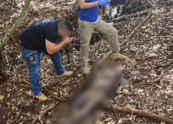 Em Campo Grande, corpo de homem é encontrado mumificado perto de pesqueiro