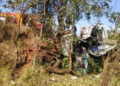 Idoso morre, após carro que estava colidir contra uma árvore na BR-262