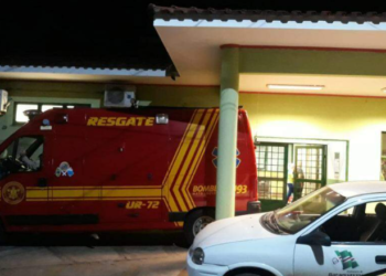 Mecânico é ferroado mais de 100 vezes por abelhas e bombeiros o encontram em mata