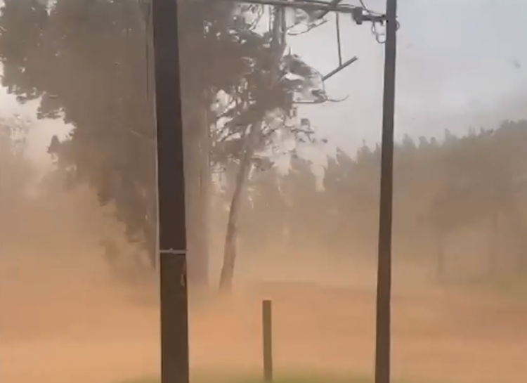 Tempestade assusta população, derruba árvores e a energia na Capital e em outras cidades