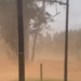 Tempestade assusta população, derruba árvores e a energia na Capital e em outras cidades