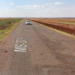 Homem é morto a tiros na MS-379 enquanto fazia caminhada e populares encontram o corpo