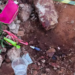 Polícia prende homem que matou Akylla Jeysolana a golpes de faca em conveniência