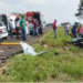 Criança de 2 anos e mais 3 adultos ficam feridos em colisão entre Vectra e Peugeot, na BR-060