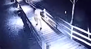 Corpo de funcionário de hotel é encontrado pelos bombeiros no Rio Miranda