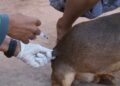 Vacinação de casa em casa chega ao Santo Amaro e Vila Sobrinho