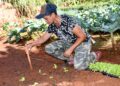 Cadastro do Produtor garante transparência em serviços prestados à agricultura familiar