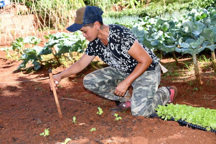 Cadastro do Produtor garante transparência em serviços prestados à agricultura familiar