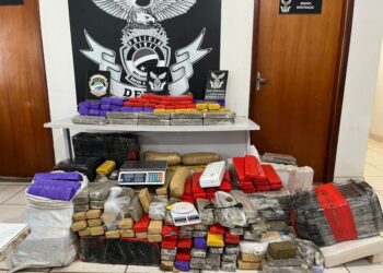Traficante é preso com mais de 520 quilos de maconha em depósito