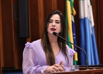 Para acabar com feminicídio, deputada pede a implantação de programa em todo o MS