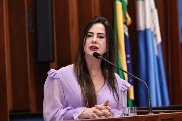 Para acabar com feminicídio, deputada pede a implantação de programa em todo o MS